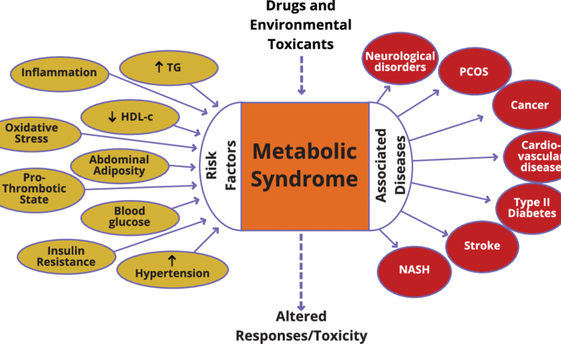 Metabolic-syndrome Metabolic-syndrome